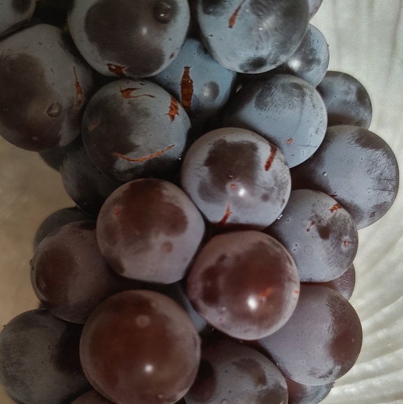 Welcome to my closet! - Picture 10 of 10